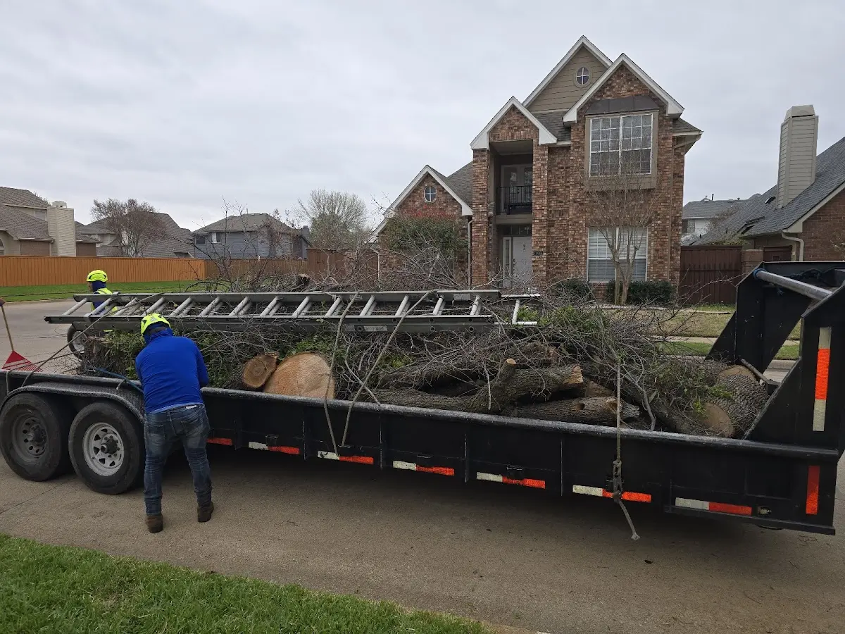 Expert Crown Reduction with proper safety equipment in Valley Stream